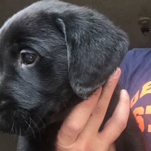 Meet your Posher, Jacquelynn